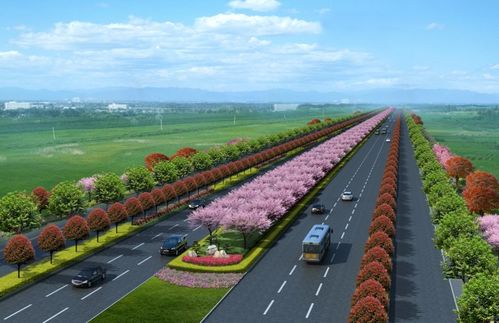 新機(jī)場(chǎng)大道景觀綠化工程正式開工，打造城市生態(tài)走廊